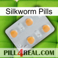 Silkworm Pills 24